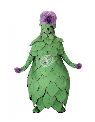 188c mascotte costume Cactus acheter pas cher