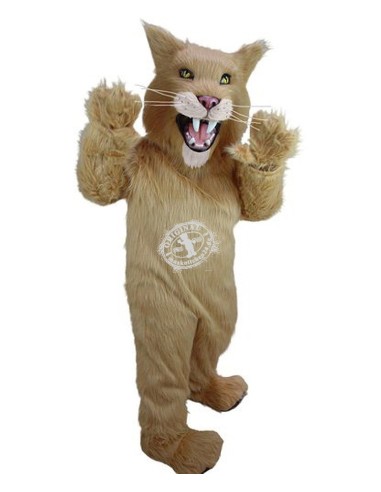 Γάτα Κοστούμι μασκότ 5 (διαφημιστικός χαρακτήρας)
