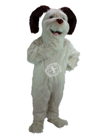 Dog Costume Mascot 5 (Advertising Character)
