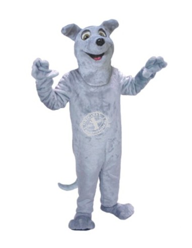 Perro Disfraz de Mascota 14 (Personaje Publicitario)