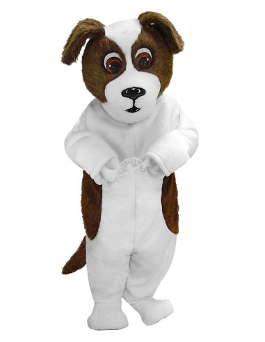 Saint Bernard Dog Costume Mascot 36 (Advertising Character)