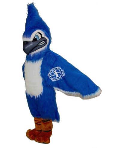 голубая сойка птица Костюм талисмана 2 (рекламный персонаж)