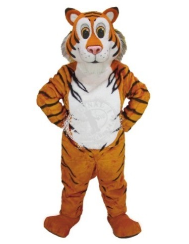 Tigre Costume Mascotte 1 (Personaggio Pubblicitario)