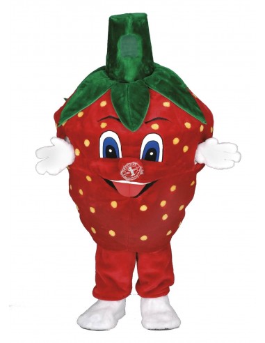 153c Strawberry Costume Mascot buy cheap